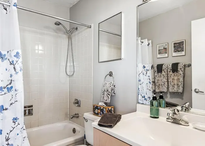 Downtown Mich Ave, Grant Park, Museums 2bd-2ba #20 *