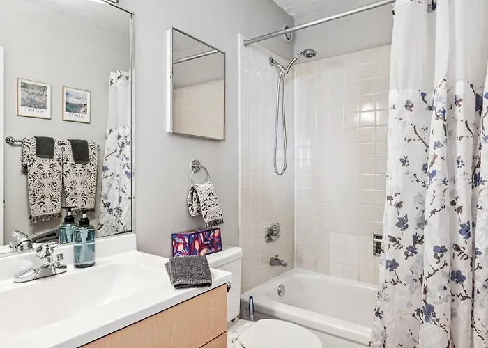 Downtown Mich Ave, Grant Park, Museums 2bd-2ba #20 *